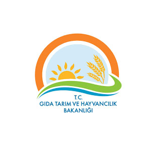 Soft Hijyen Referans 21